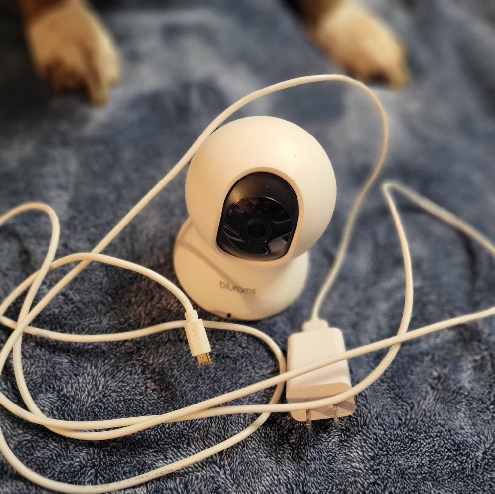Blurams security camera